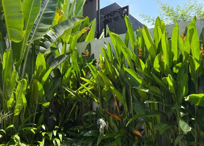 アパート Sare Bali - Bedroom With Private Pool *
